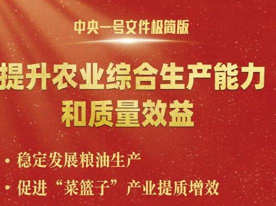 中央一號(hào)文件，極簡(jiǎn)版來了！